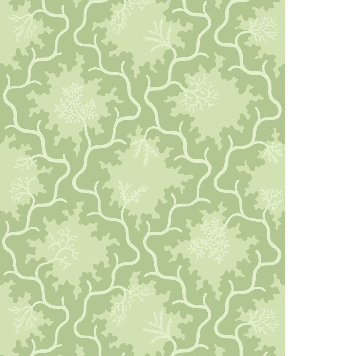 COLE & SON MOSS TRELLIS MATCHA
