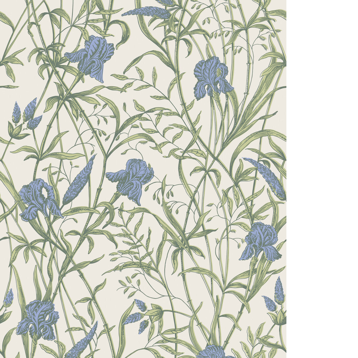 COLE & SON IRIS IRIS BLUE ON STONE