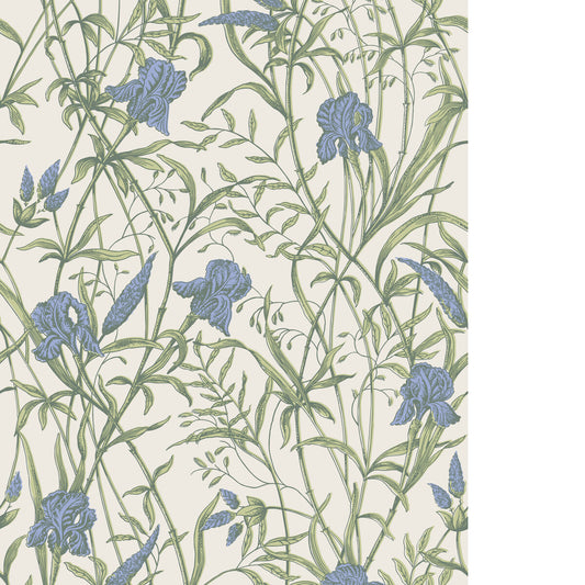 COLE & SON IRIS IRIS BLUE ON STONE