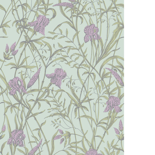 COLE & SON IRIS LAVENDER ON DUCK EGG