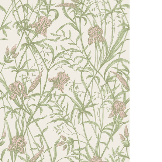 COLE & SON IRIS SOFT CORAL ON CHALK
