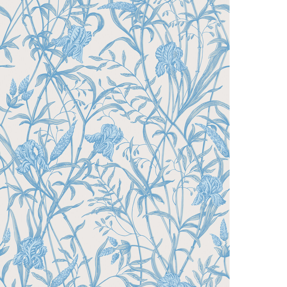 COLE & SON IRIS SOFT CERULEAN