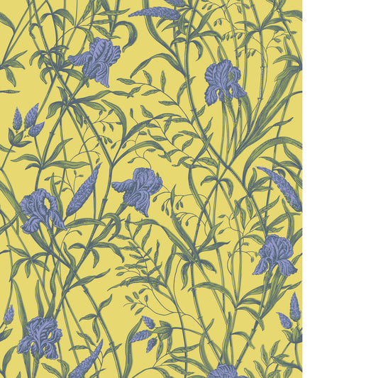 COLE & SON IRIS VIOLET ON CITRINE