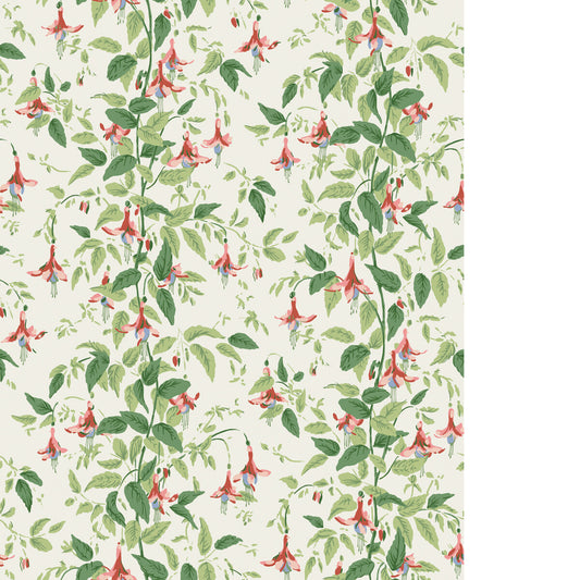 COLE & SON FUSCHIA ROSE PINK