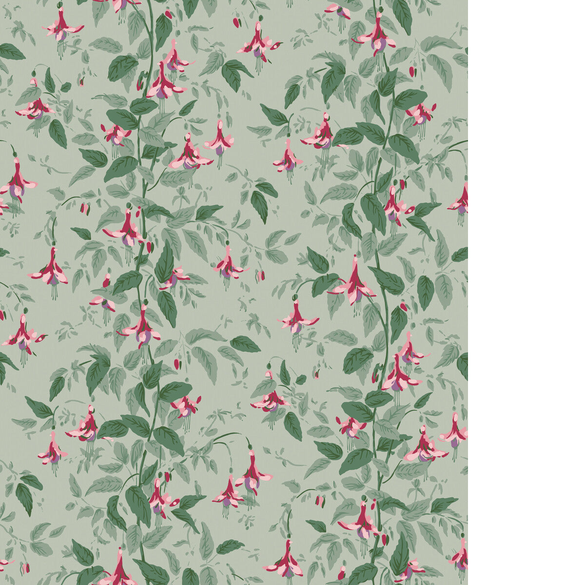 COLE & SON FUSCHIA DUSTY ROSE