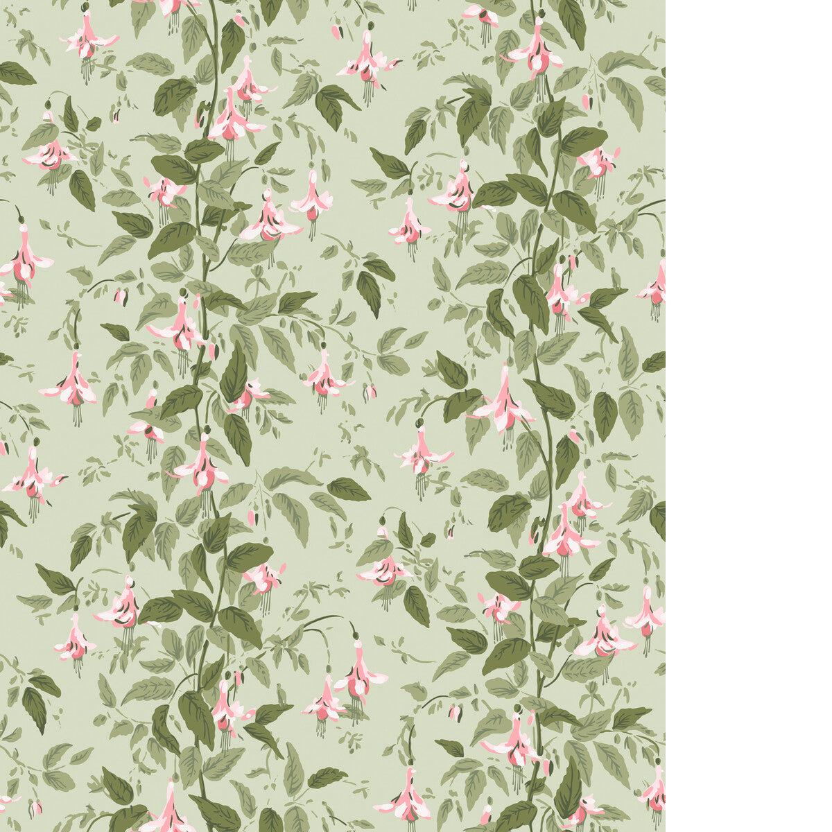 COLE & SON FUSCHIA POWDER PINK