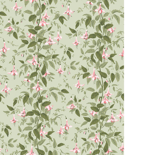 COLE & SON FUSCHIA POWDER PINK