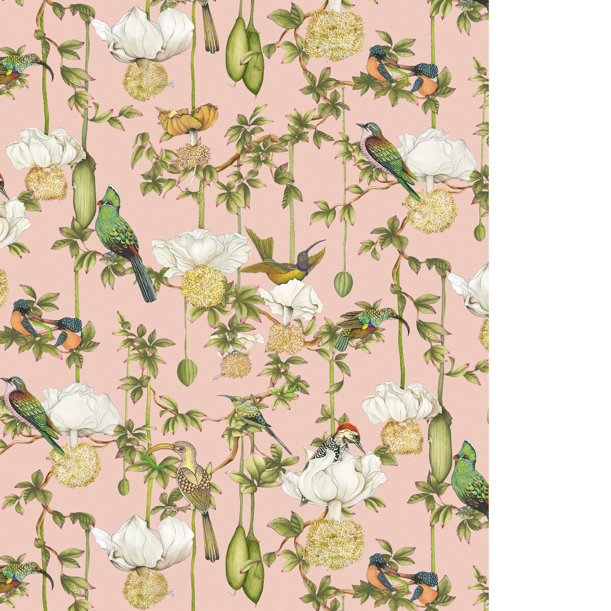 COLE & SON BAOBAB BOTANICA BLUSH