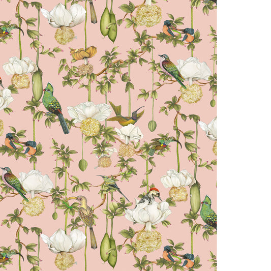 COLE & SON BAOBAB BOTANICA BLUSH