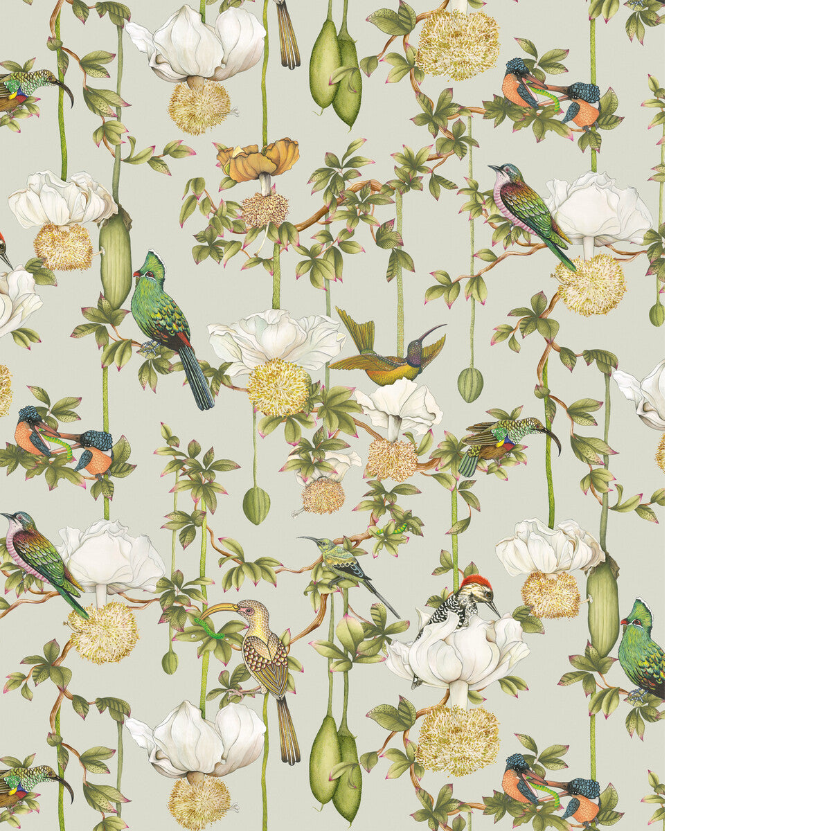 COLE & SON BAOBAB BOTANICA DUCK EGG