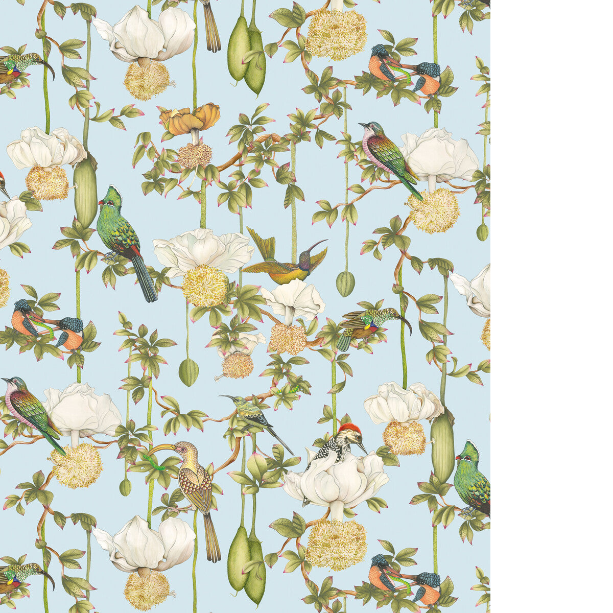 COLE & SON BAOBAB BOTANICA SKY BLUE