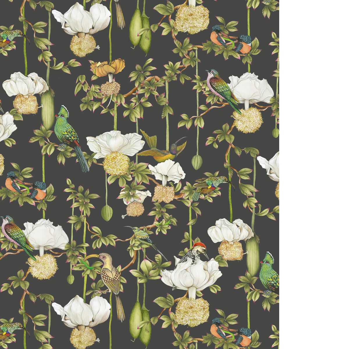 COLE & SON BAOBAB BOTANICA ONYX