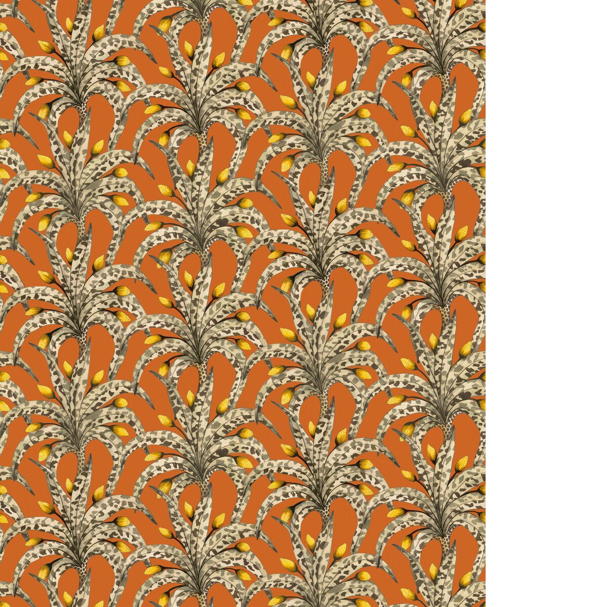 COLE & SON AFRIKA DAMASK TANGERINE