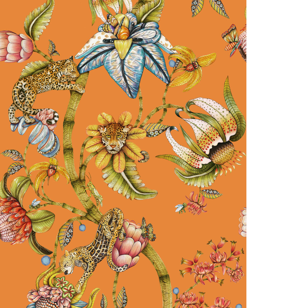 COLE & SON PROTEA PANTHERA CLEMENTINE