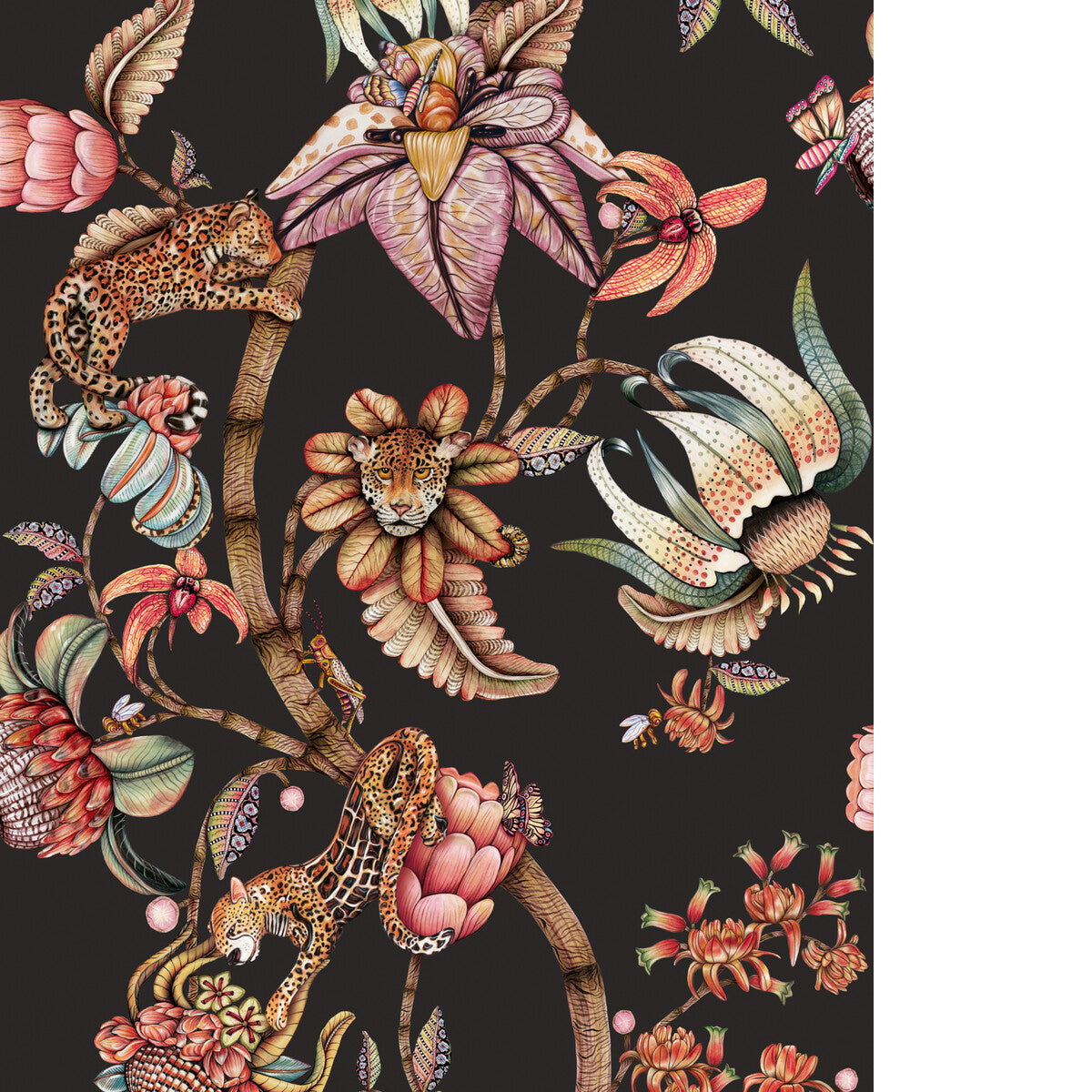 COLE & SON PROTEA PANTHERA ONYX