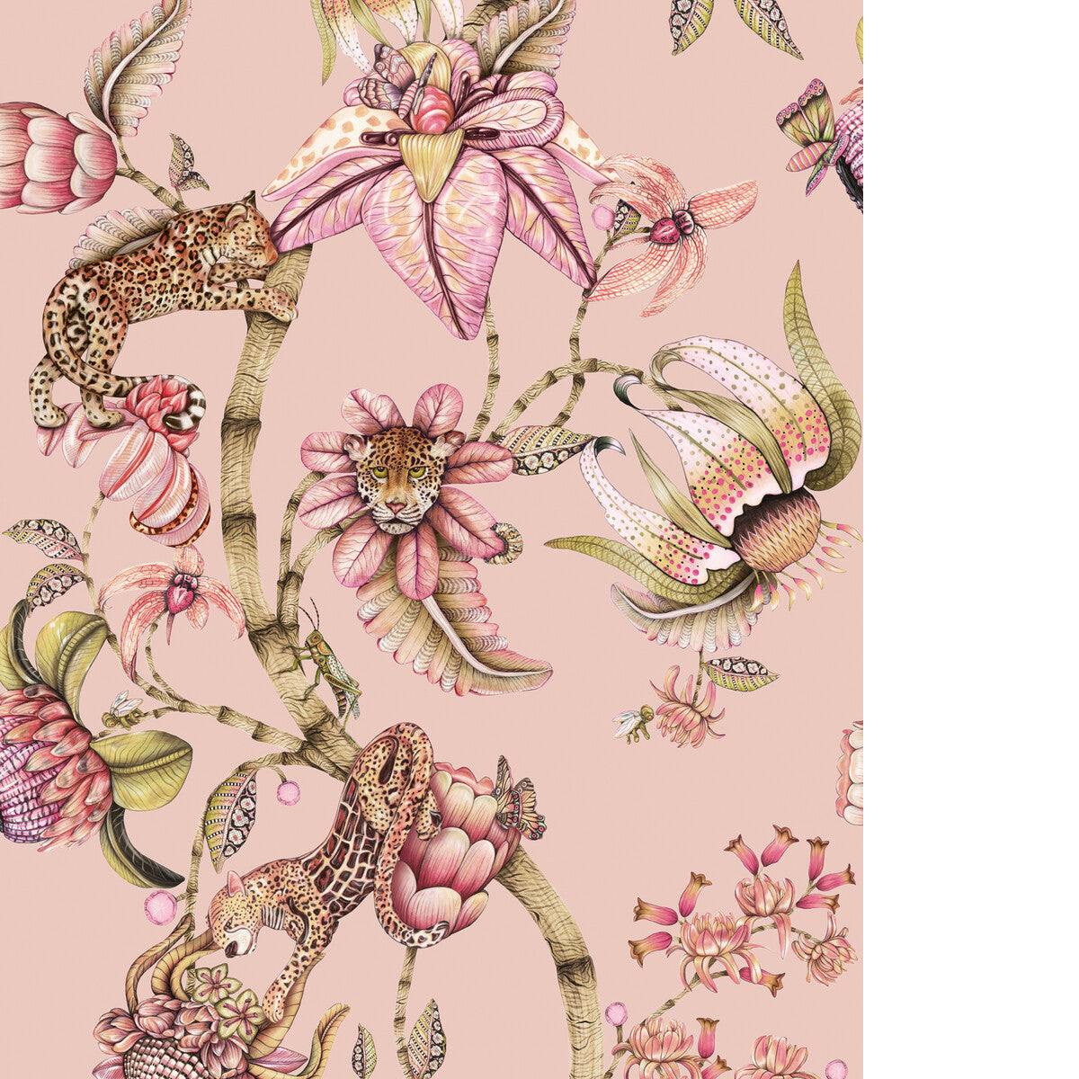 COLE & SON PROTEA PANTHERA RS QUARTZ