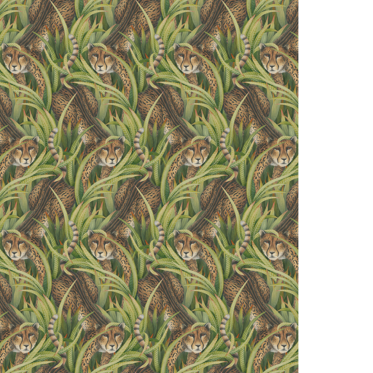 COLE & SON CHEETAH PROWL GRASS