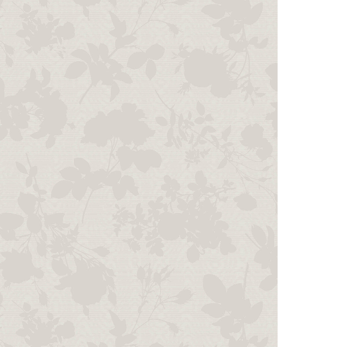 COLE & SON ABSENCE OF ROSES MOIRE WHITE