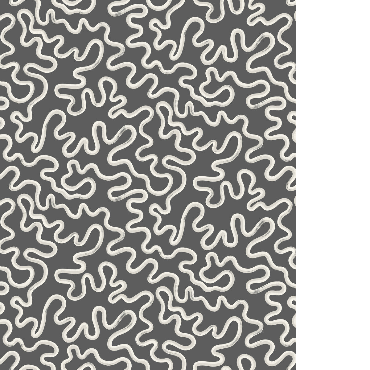 COLE & SON RAINFOREST SQUIGGLE GREY