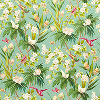 Schumacher: Seychelles 175702 Sea