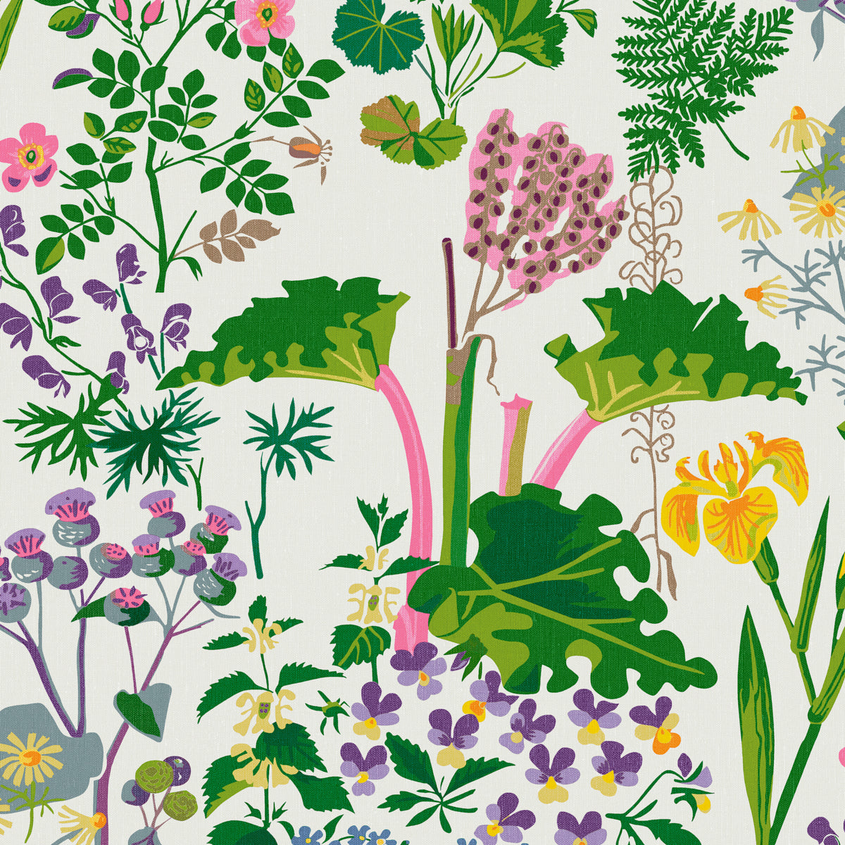 Schumacher: Rabarber 1792 Ivory Multi