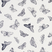 Schumacher: Burnell Butterfly 179430 Black