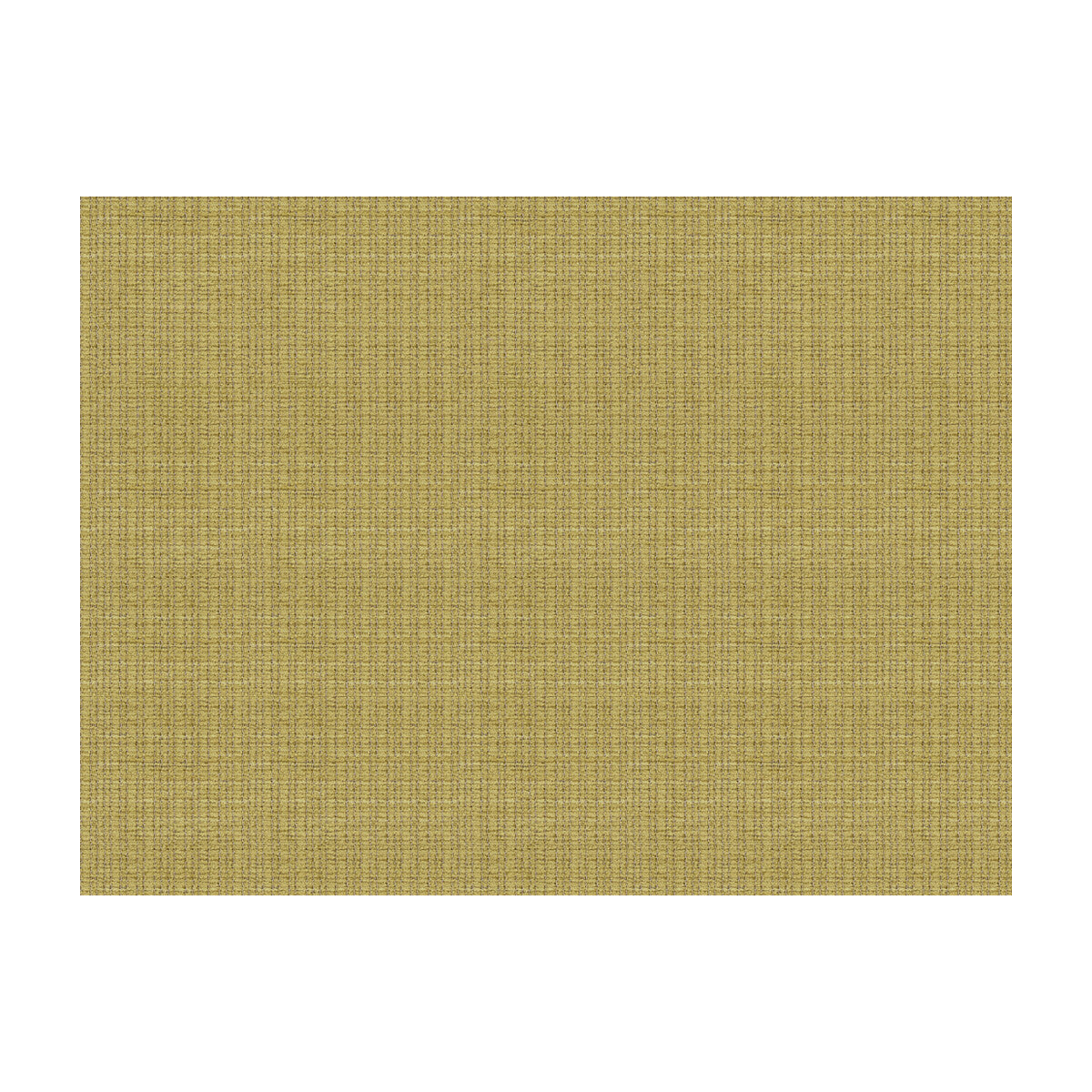 LEE JOFA JUDD CELERY