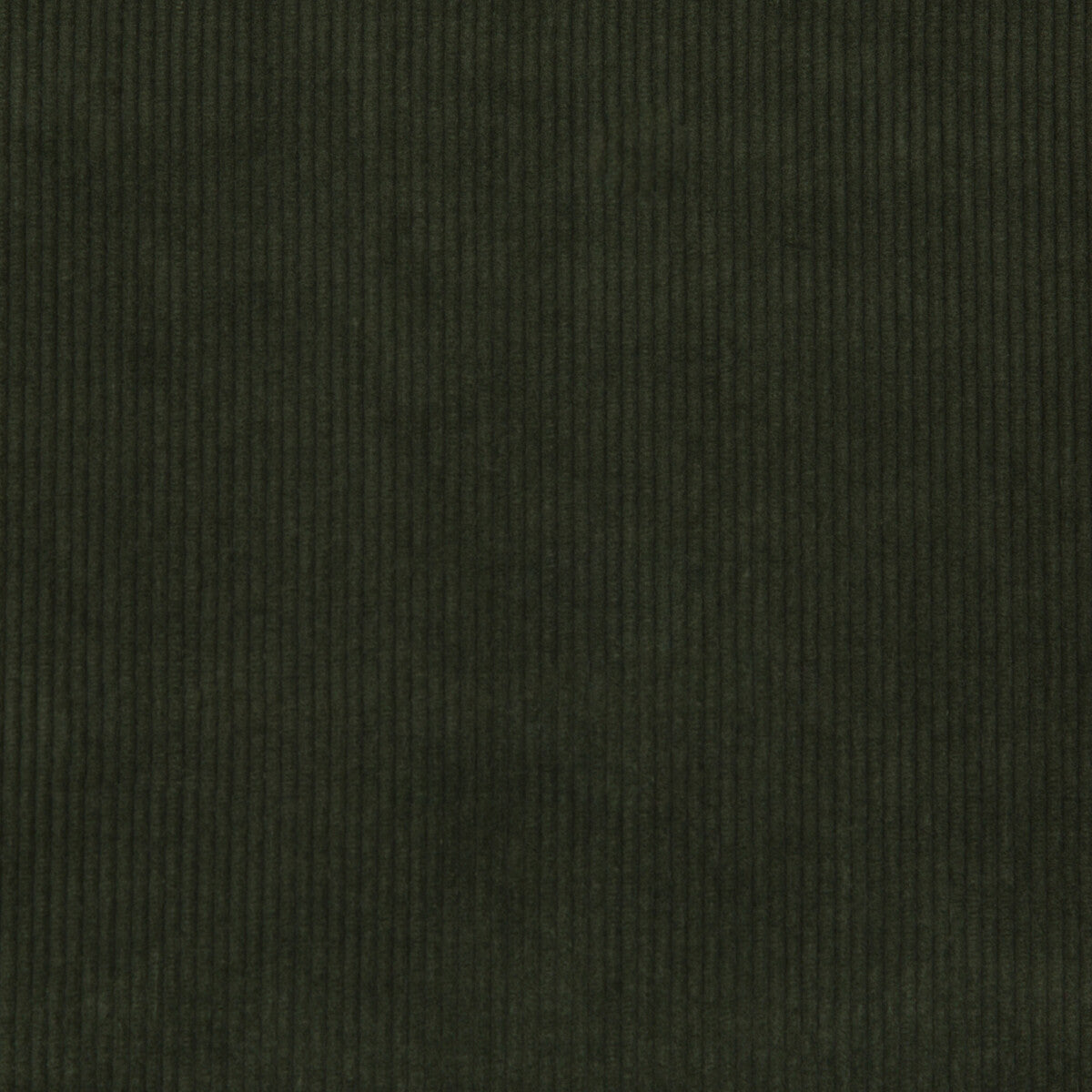 LEE JOFA SARANAC CORD LODEN