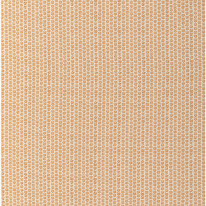 Lee Jofa: Kaya Li 2017224.12.0 Spice