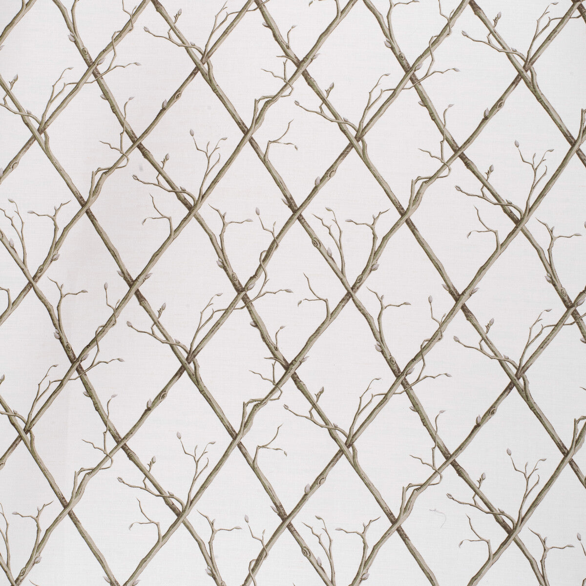 LEE JOFA TWIG TRELLIS GREEN/WHITE