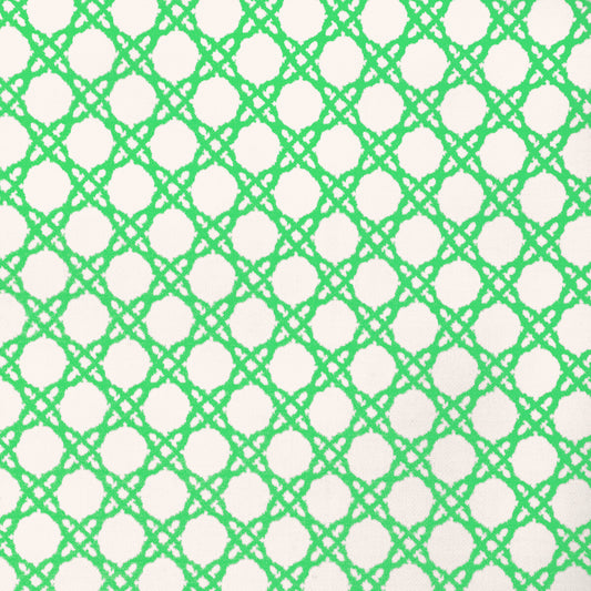 LEE JOFA COASTAL CANE GREEN