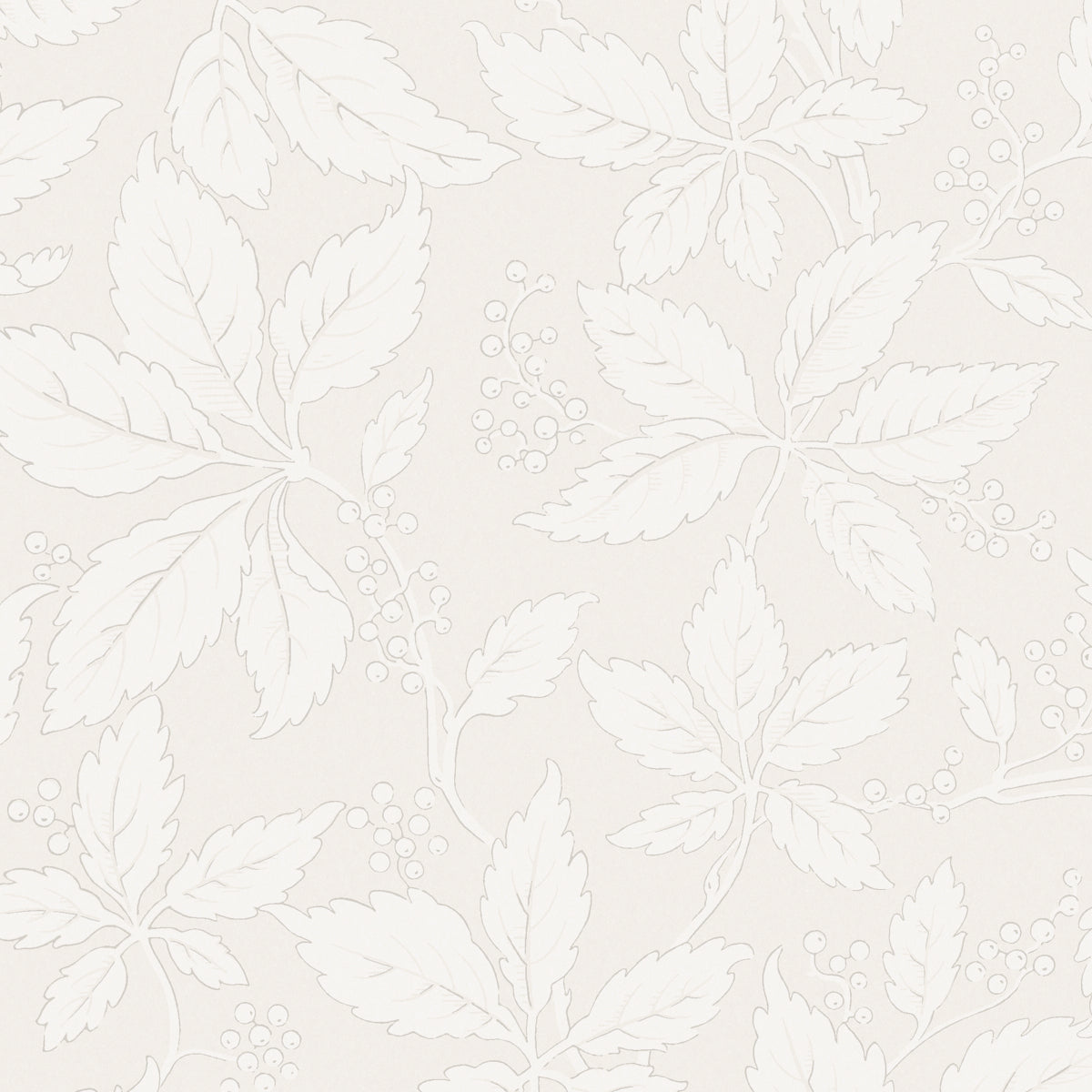 Schumacher WP: Vildvin 2027 Bone