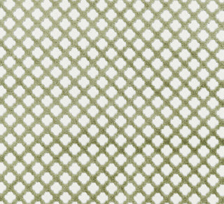 Scalamandre: Pomfret SC 0017 26692M Green Tea