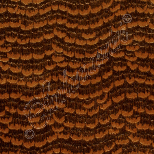 Scalamandre: La Mordoree Coordinato CL 0001 26873 Bois