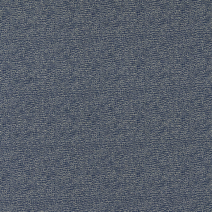 Scalamandre: Shagreen SC 0007 26914M Blue