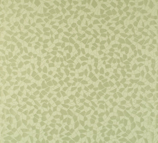 Scalamandre: Re Sole Coordinato Piccolo CL 0001 26919 Avorio