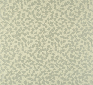 Scalamandre: Re Sole Coordinato Piccolo CL 0003 26919 Argento