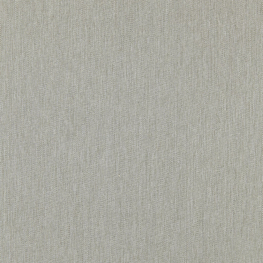 Scalamandre: Canvas SC 0004 27067 Stone