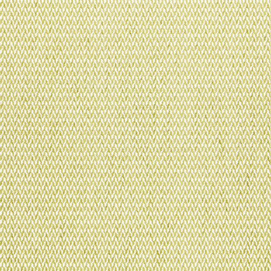 Scalamandre: Cortona Chenille SC 0003 27104 Fern