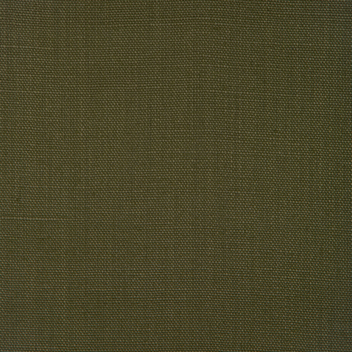KRAVET BASICS STONE HARBOR JUNGLE