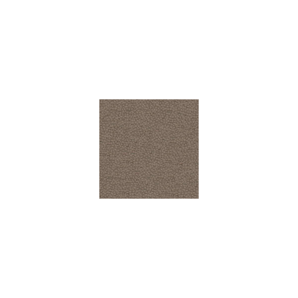 KRAVET COUTURE BEHOLD SHALE