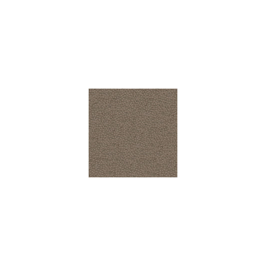 KRAVET COUTURE BEHOLD SHALE