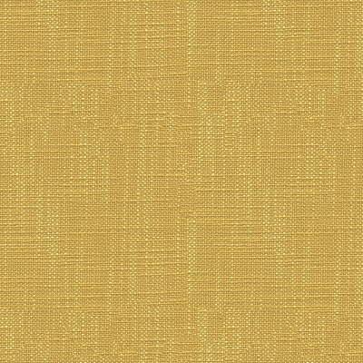 Kravet: 31498.4.0*