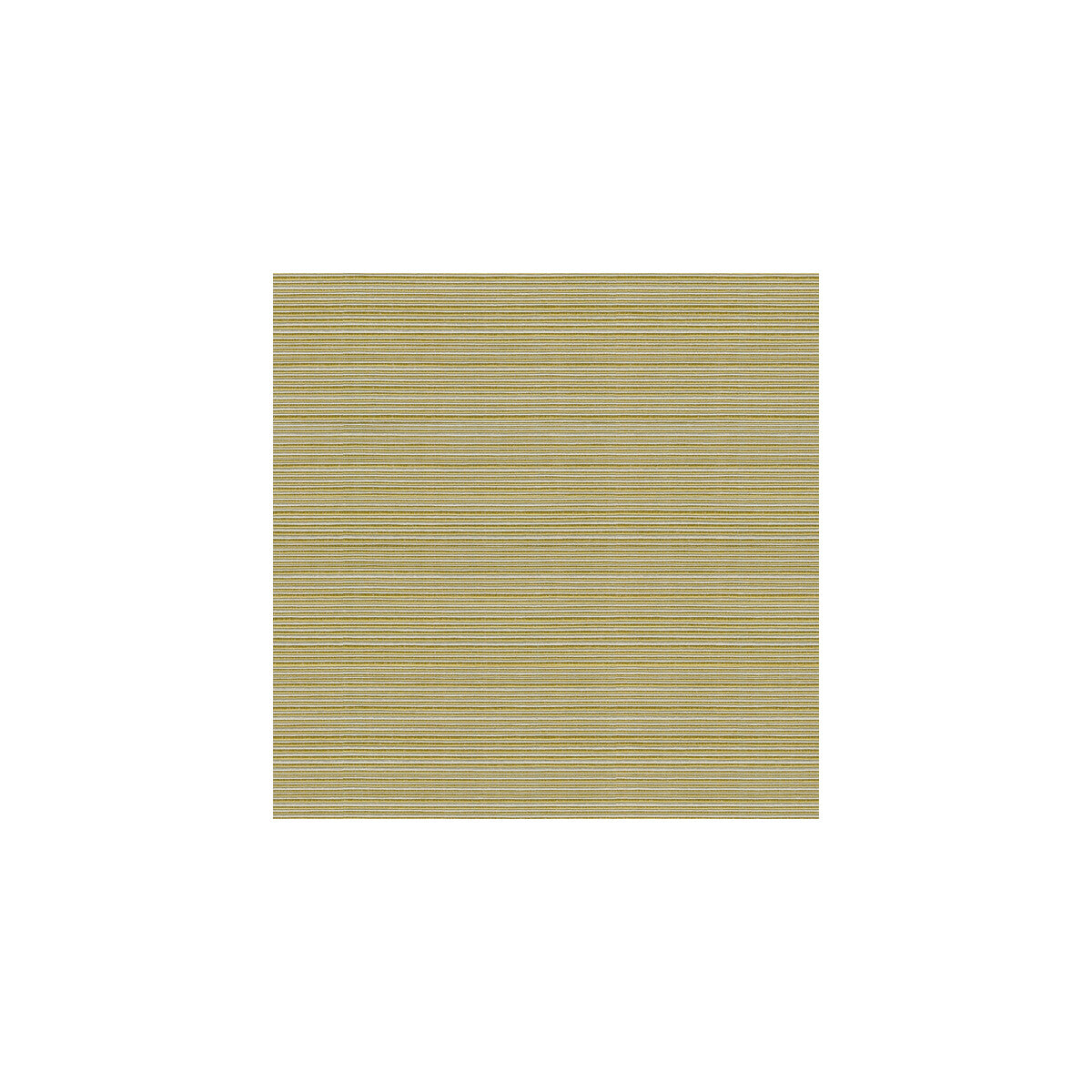 KRAVET BASICS CAMPANIA KIWI