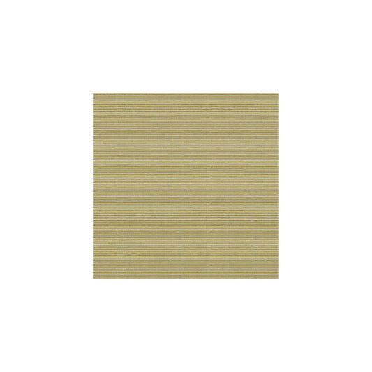 KRAVET BASICS CAMPANIA KIWI