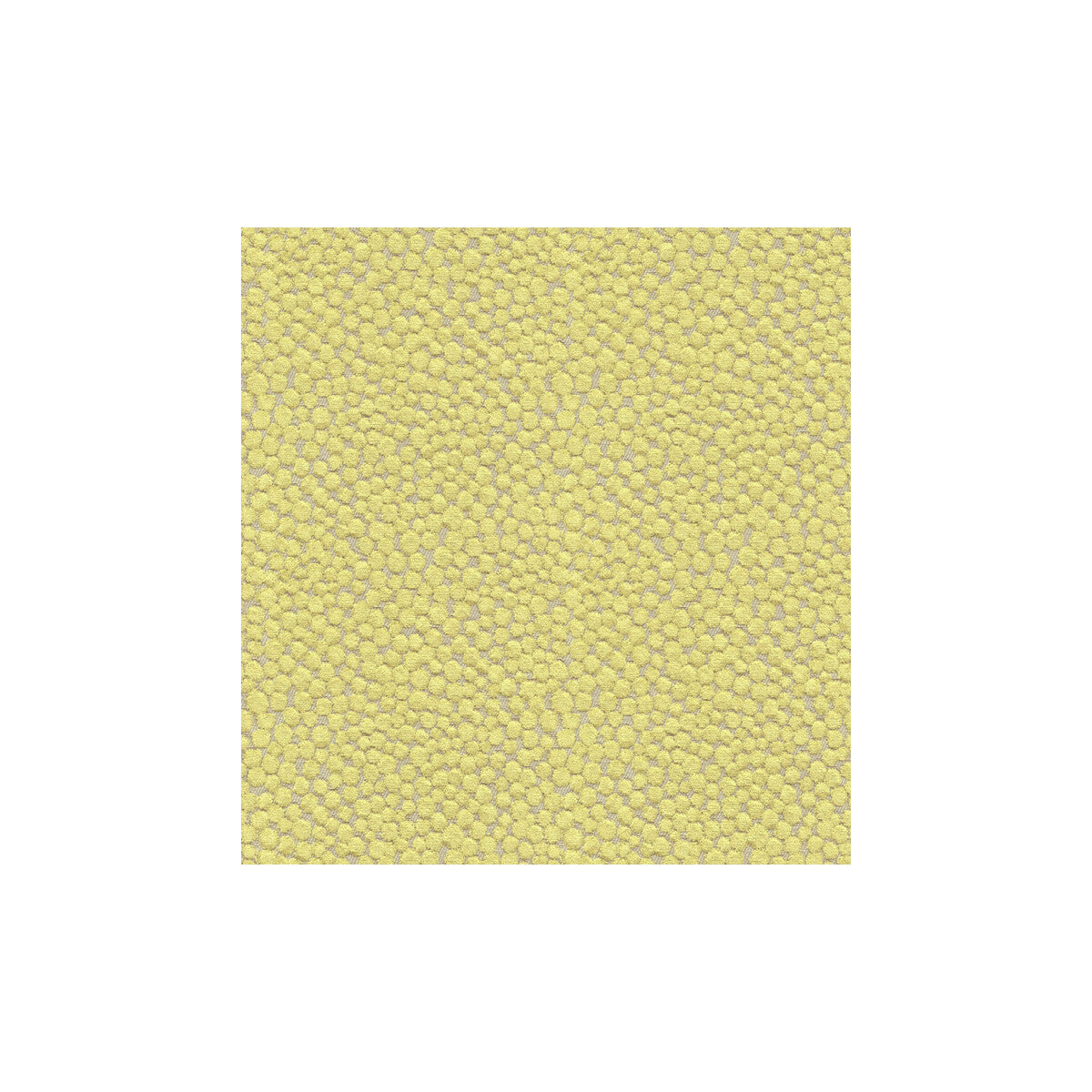 KRAVET COUTURE POLKA DOT PLUSH WASABI