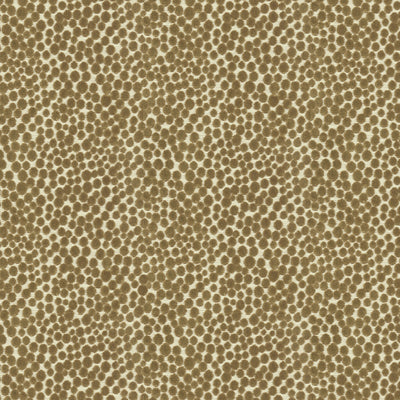 Kravet: Polka Dot Plush 32972.66.0 Falcon