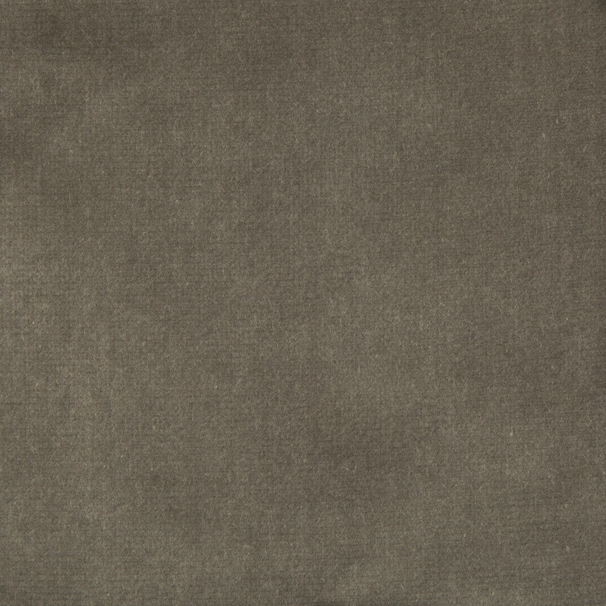 KRAVET COUTURE VELVET TREAT GREY