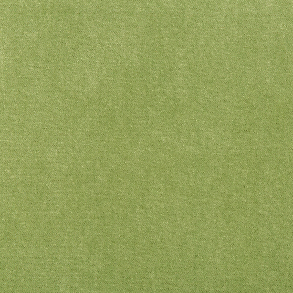 KRAVET BASICS KRAVET BASICS 33299-303