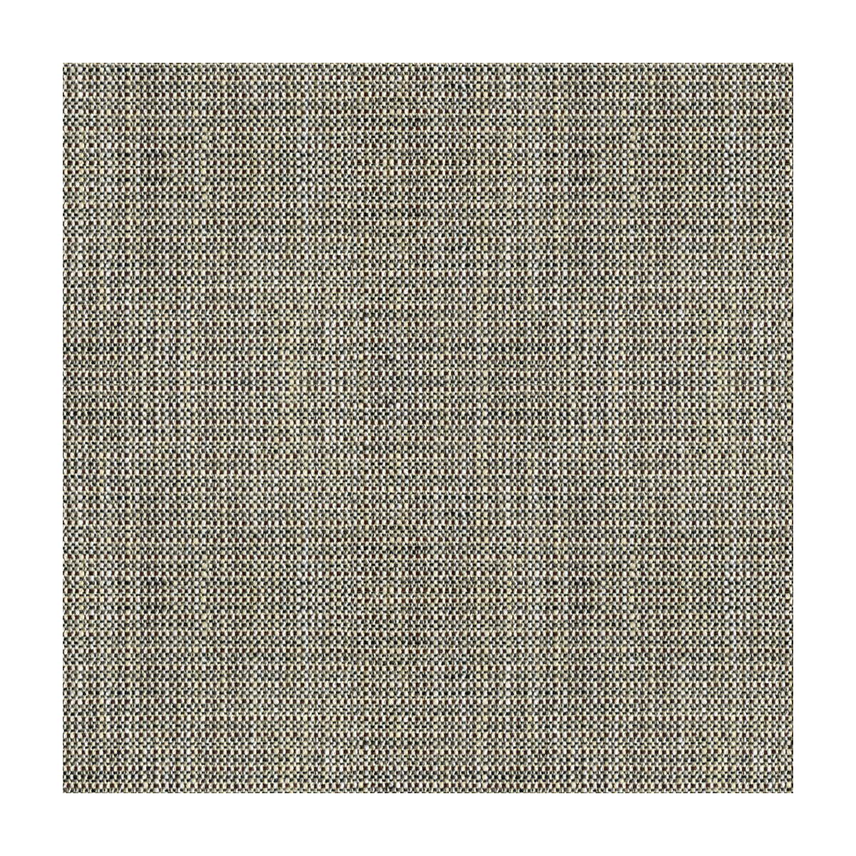 KRAVET BASICS RAFAEL COAL